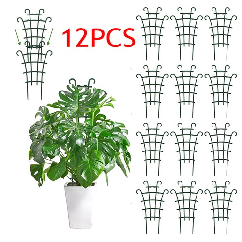 12x garden plant climbing - 12x,