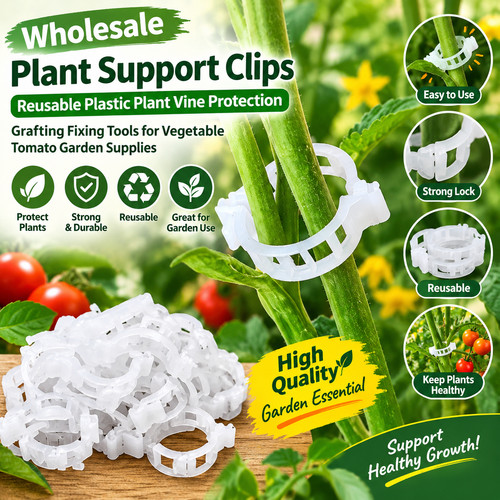 100x clip tomato - and, veggie