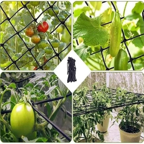 Elastic trellis net - elastic, for