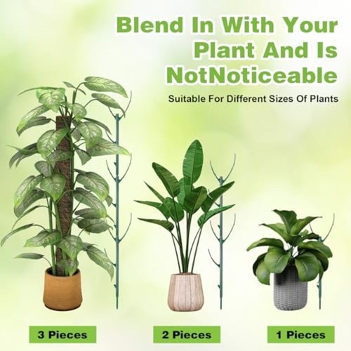 Plant support poles - plant,