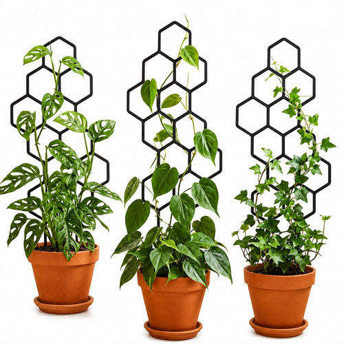2pcs honeycomb plant - plant, trellis
