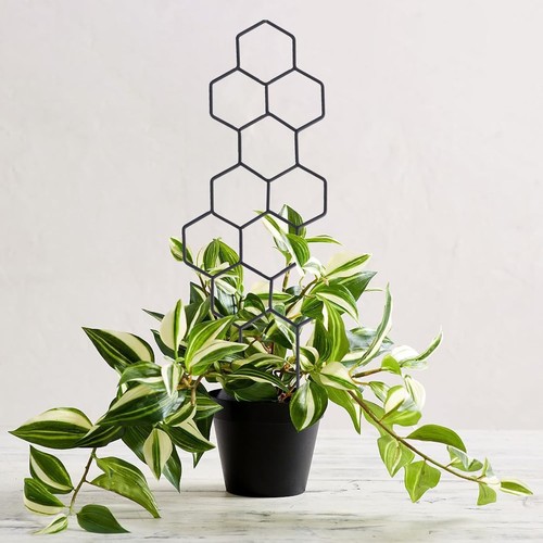 Plant trellis 35cm - 35cm, 13.8in