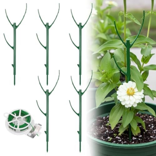 Plant support poles climbing - plant,
