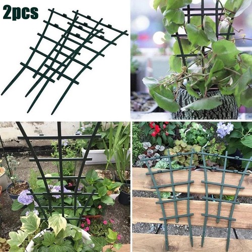 New sale climbing - climbing, trellis