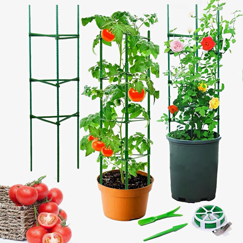 Tomato plant support cage - plant,