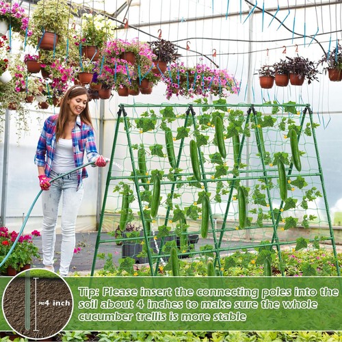 Garden cucumber trellis - garden,
