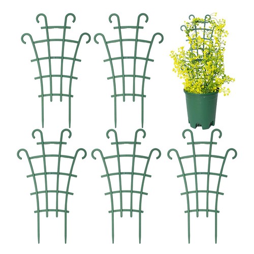 12x garden plant - 12x, climbing