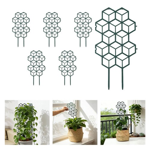 For indoor outdoor plant - for,