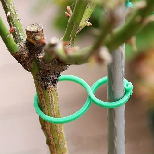 100pcs garden plant - 100pcs,