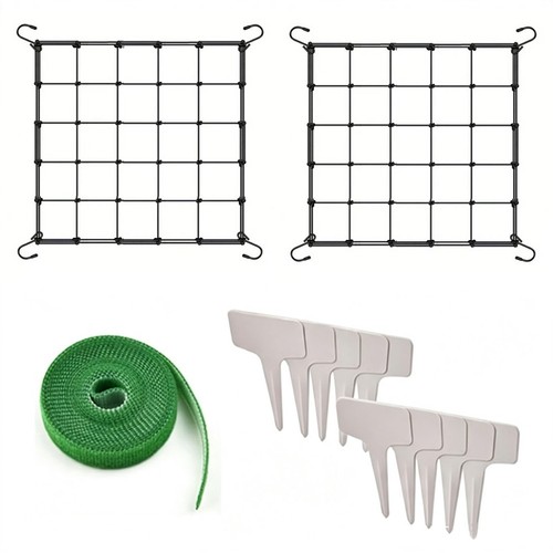 For climbing plants elastic - climbing,