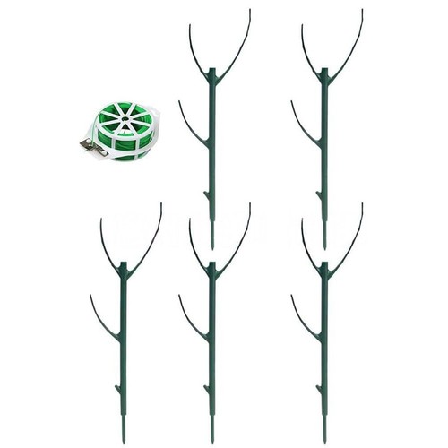 For climbing vines plant - vines,