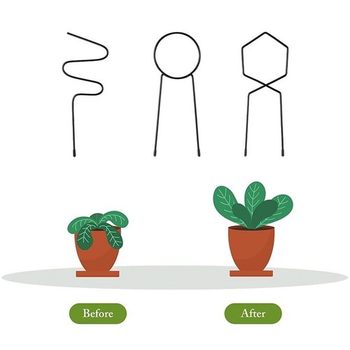 Black iron plant - black, trellis