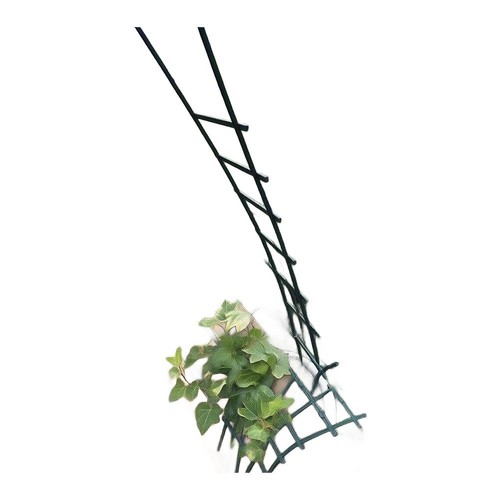 Practical climbing trellis - practical,
