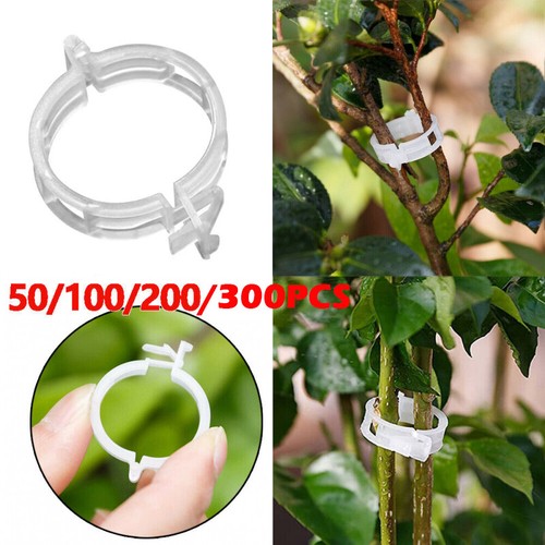 Binding vine clip - , veggie