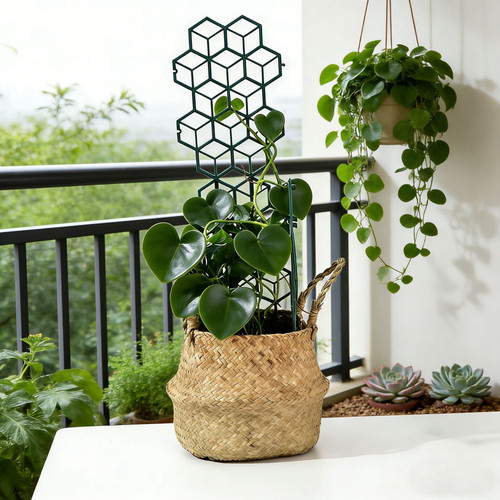 For indoor outdoor plant - indoor,