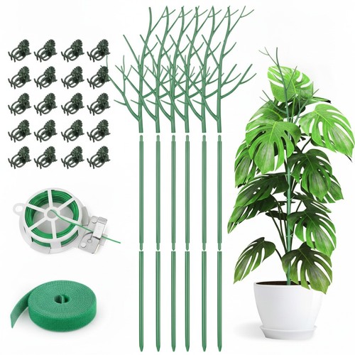 Plant support stakes pack - stakes,
