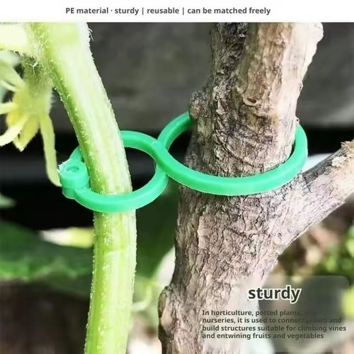 100pcs garden plant support - plant,