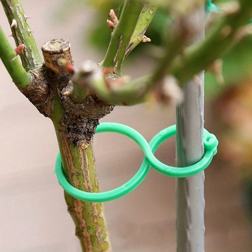 100pcs garden plant - garden,